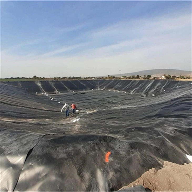 Geomembrane Water Reservoir