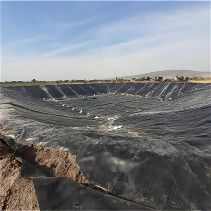 Geomembrane Water Reservoir