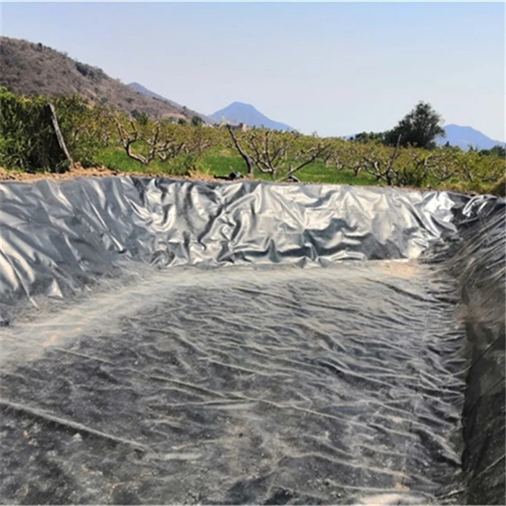 Rough Geomembrane