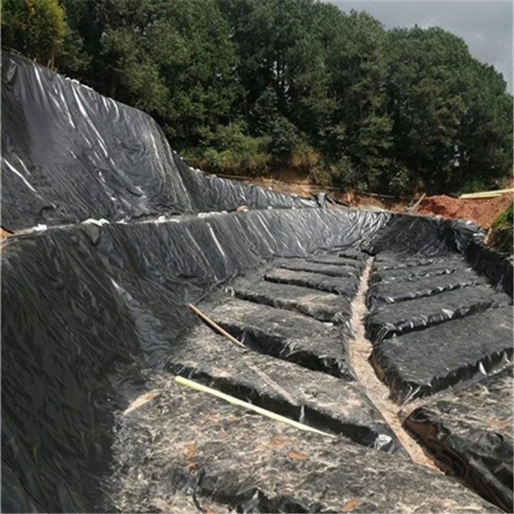Rough Geomembrane
