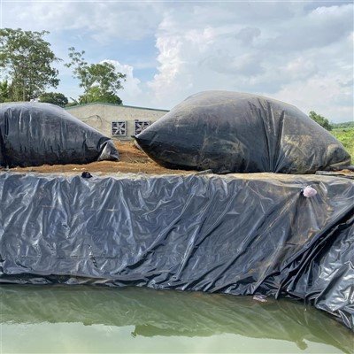 Geocomposite Drainage Membrane