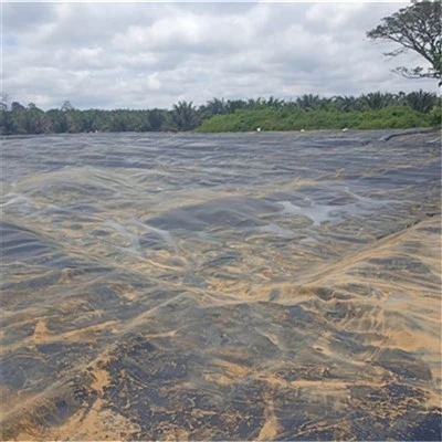 Geomembrane Cover