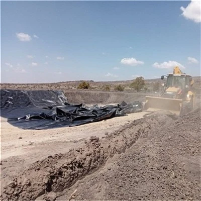 Geomembrane Fish Tank