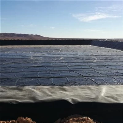 HDPE Lining