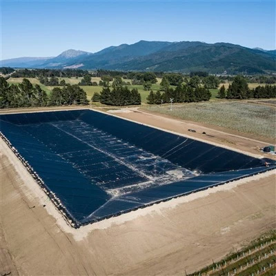 Hdpe Sheet Geomembrane