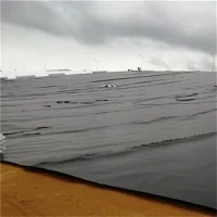 RAS System Geomembrane Tank Liner