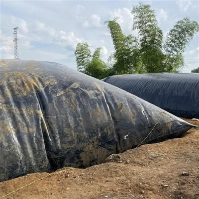 Biogas Digester Geomembrane Liner
