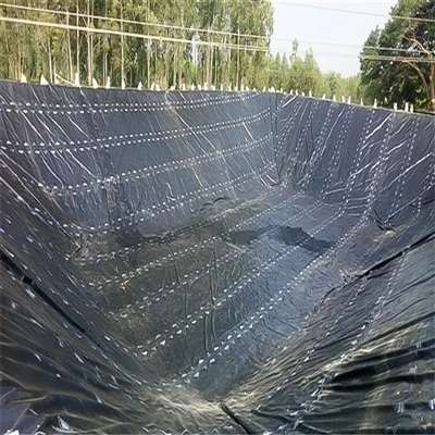Liner For Spirulina Tank