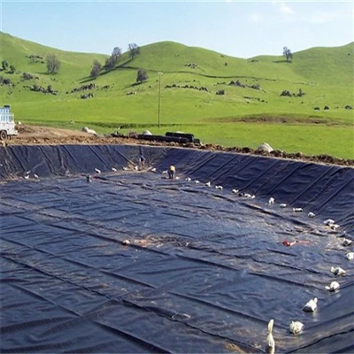 Waterproofing Geomembrane Liner